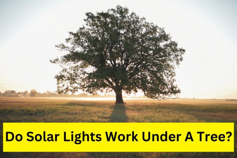 Do Solar Lights Work Under A Tree?