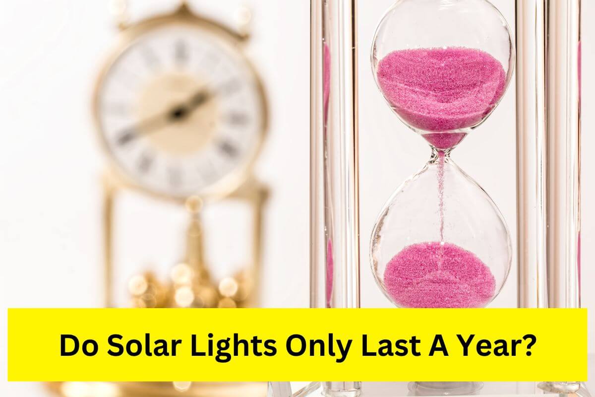 do solar lights only last a year