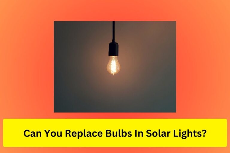 Can you replace bulbs in solar lights?