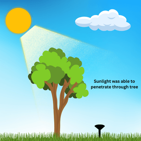 solar light with less trees around
