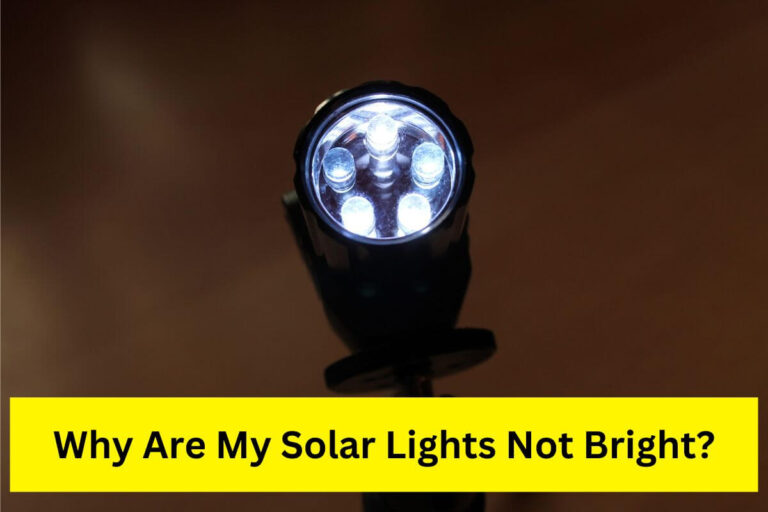 Why are my solar lights not bright?