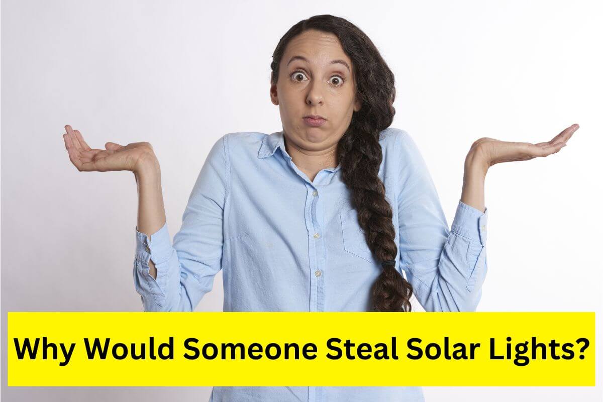 why would someone steal solar lights