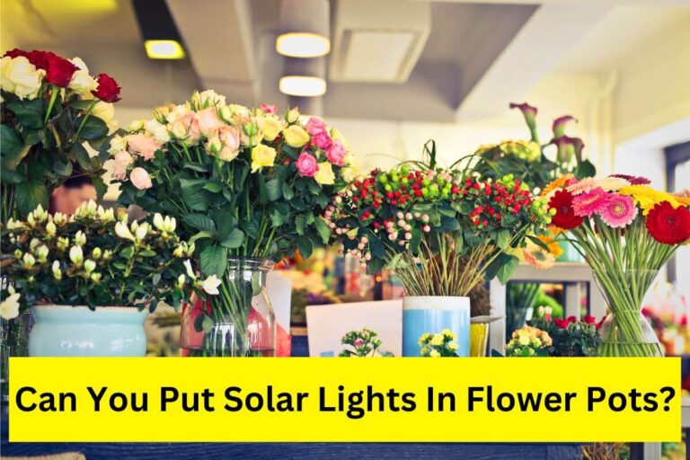 Can you put solar lights in flower pots?