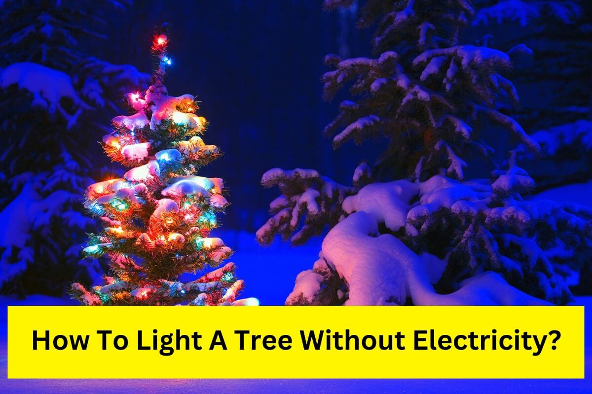 how do you light a tree without electricity