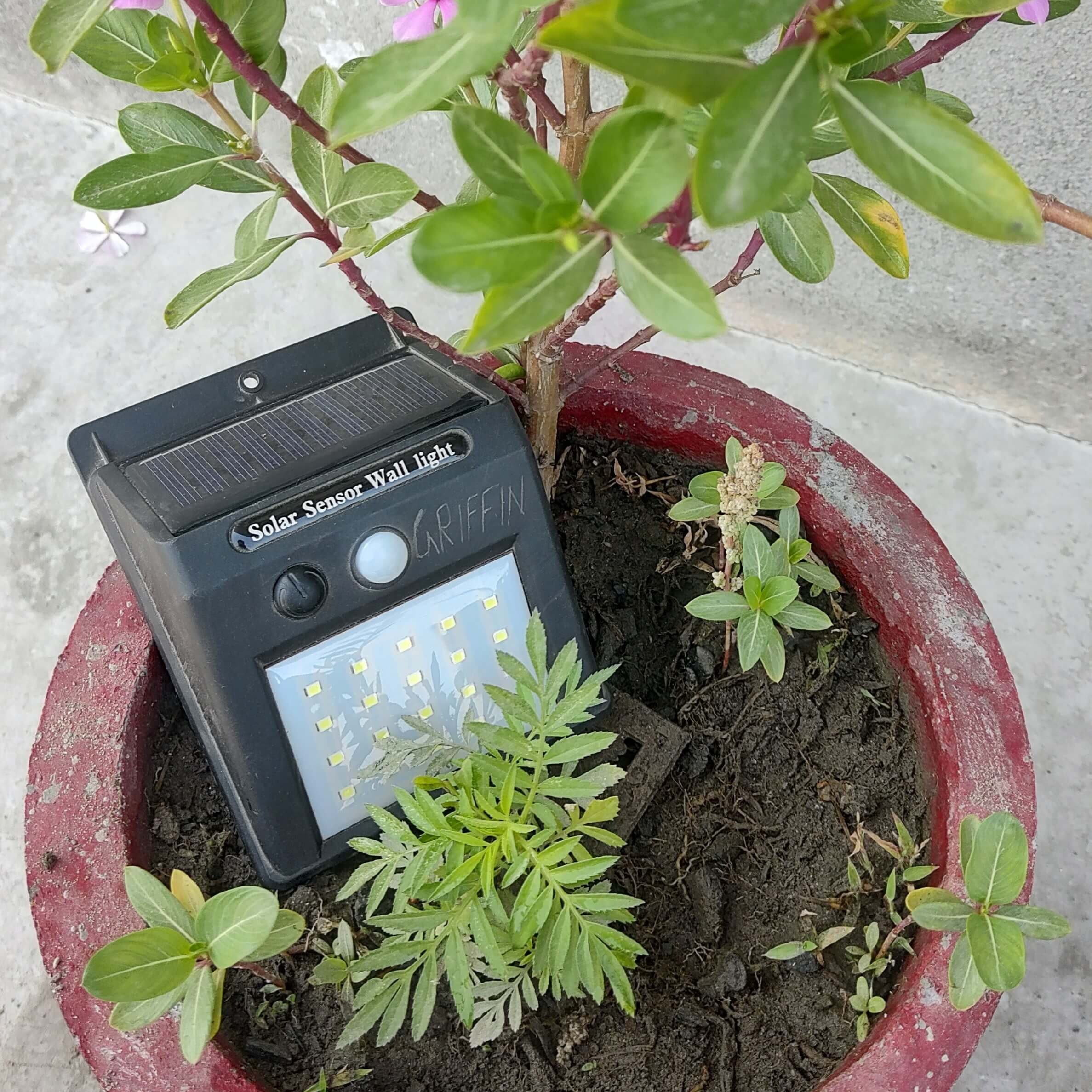 Solar light in flower pot