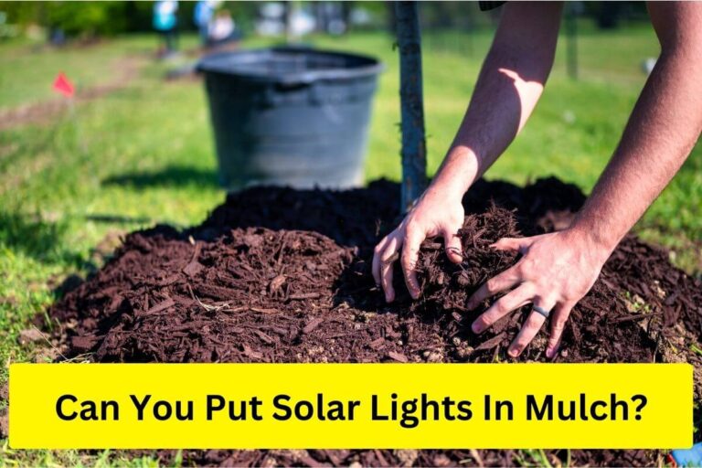 Can you put solar lights in mulch?