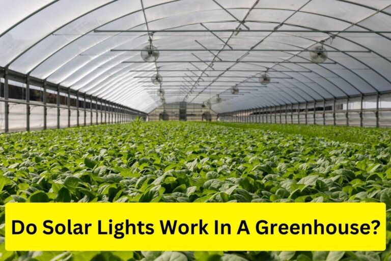 Do solar lights work in a greenhouse?