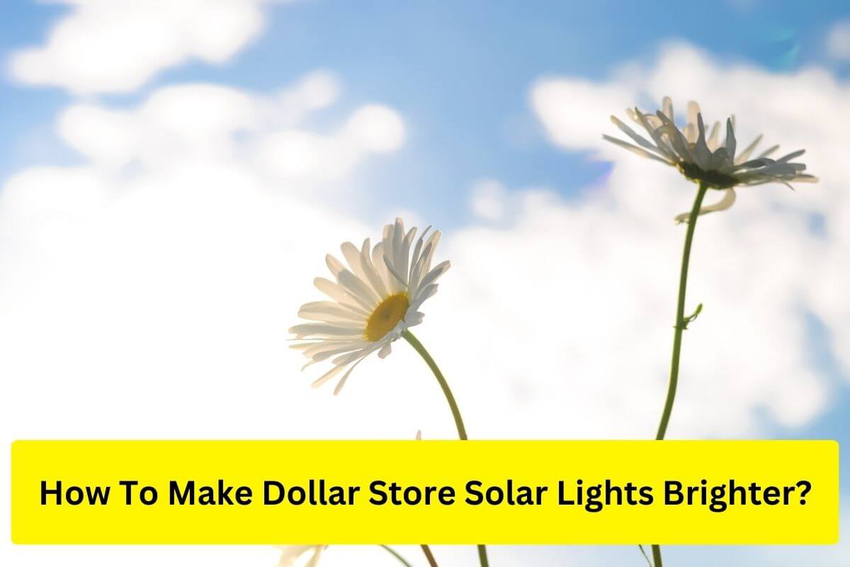 How do I make my dollar tree solar lights brighter?