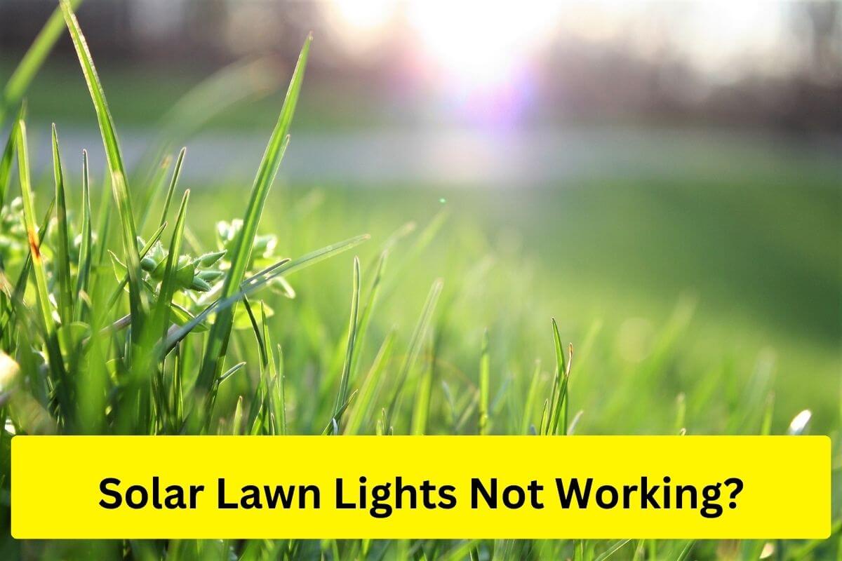 solar lawn lights not working